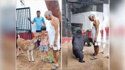 अस्वलांना कुरवाळलं, हरणाला भरवलं; अशक्तपणातही प्रकाश आमटेंनी जपले मैत्र जीवांचे