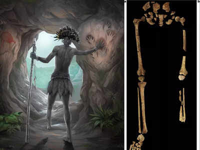 पाषाण काल में 31,000 साल पहले भी सर्जरी करता था इंसान, इंडोनेशिया की गुफा में मिला पैर कटा कंकाल