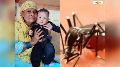 Dengue: ফের হাওড়ায় ডেঙ্গিতে মৃত্যু, প্রাণ গেল ৬ মাসের শিশুর