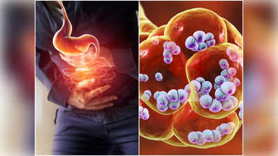 Symptoms Of Stomach Ulcer: পেটের আলসারকে অনেকেই Gas, Acidity ভেবে ডাকেন বিপদ, লক্ষণ জানালেন চিকিৎসক