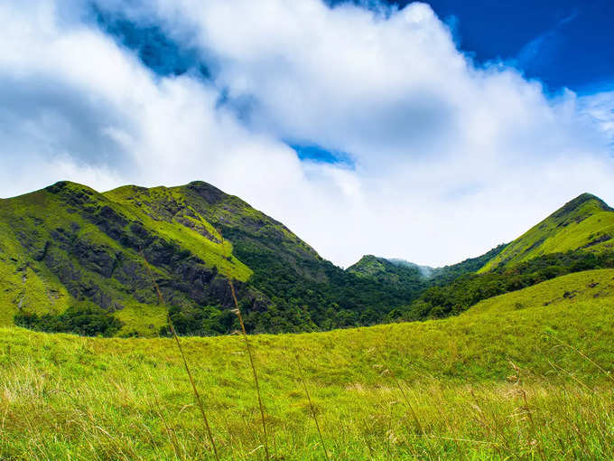 ವಯನಾಡ್