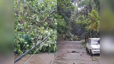 തൃശൂരിൽ വീണ്ടും മിന്നൽ ചുഴലി; മരങ്ങളും പോസ്റ്റുകളും നിലംപതിച്ചു, വ്യാപക നാശം