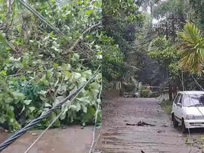 തൃശൂരിൽ വീണ്ടും മിന്നൽ ചുഴലി; മരങ്ങളും പോസ്റ്റുകളും നിലംപതിച്ചു, വ്യാപക നാശം