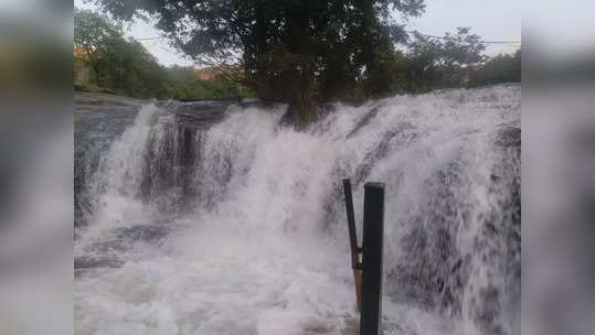 கும்பக்கரை அருவியில் தொடரும் வெள்ளப்பெருக்கு; பத்தாவது நாளாக சுற்றுலா பயணிகளுக்கு தடை!