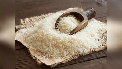Rice Export Ban: শীঘ্রই কমবে চালের দাম? রফতানি নিয়ে বড় ঘোষণা কেন্দ্রের