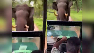 हाथी ने कार पर किया अटैक, ड्राइवर की काबिलियत देख लोग इंप्रेस हो गए