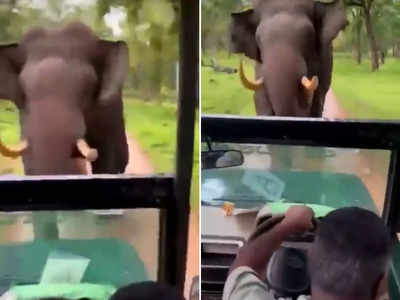 हाथी ने कार पर किया अटैक, ड्राइवर की काबिलियत देख लोग इंप्रेस हो गए