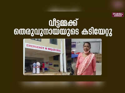 പാലായിൽ ദേവാലയത്തിൽ പോയി മടങ്ങിയ വീട്ടമ്മക്ക് തെരുവുനായയുടെ കടിയേറ്റു