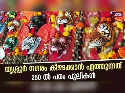 ചമയപ്രദര്‍ശനത്തിന് തൃശൂരില്‍ തുടക്കം