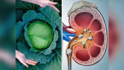 Diet Tips: चुकूनही कच्च्या खाऊ नका या 6 भाज्या, शरीरातील संपूर्ण रक्त आटून जाईल व किडनीत बनू लागतील स्टोन्स..!