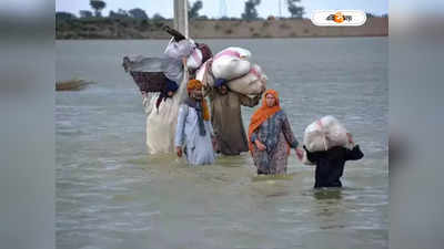 Pakistan Flood: ‘বন্যা ত্রাণের নামে মহিলাদের ধর্ষণ?’ আমেরিকায় প্রশ্নবাণে জর্জরিত পাক রাষ্ট্রদূত