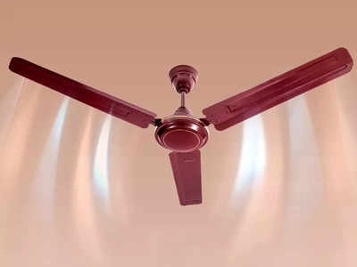 बहुत ही कम कीमत वाले हैं ये Ceiling Fan, कमरे को देते हैं डेकोरेटिव लुक और फास्ट एयर फ्लो