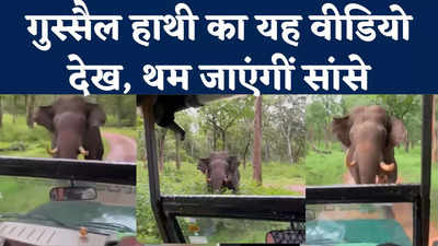 हाथी ने दौड़ाया, रिवर्स गेयर पर कई मीटर तक ड्राइवर ने दौड़ाई जीप...काबिनी नैशनल पार्क का डरा देने वाला वीडियो