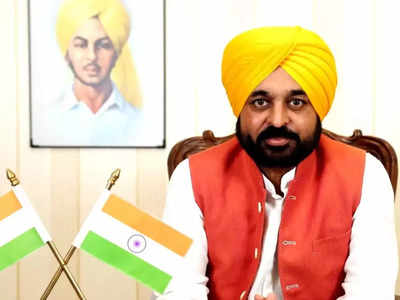 Punjab News: केंद्र ने नहीं की मदद, पराली काटने के लिए राज्य सरकार देगी 1 लाख मशीनें, भगवंत मान सरकार का ऐलान