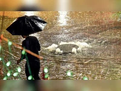 karnataka Rains | ಭಾನುವಾರದಿಂದ ತಗ್ಗಲಿದೆ ಮಳೆ ಅಬ್ಬರ: ಕೆಲವು ಜಿಲ್ಲೆಗಳಲ್ಲಿ ಯೆಲ್ಲೊ ಅಲರ್ಟ್‌
