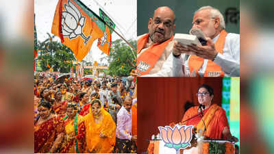 अमेठी के बाद अब सोनिया से रायबरेली छीनने को BJP ने तैयार किया ब्लू प्रिंट! पवार, अखिलेश की भी उड़ेगी नींद