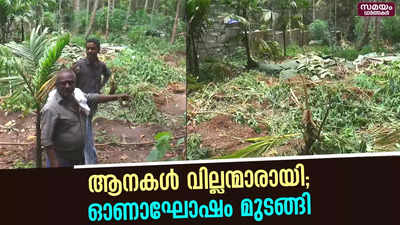 കാട്ടാനകളുടെ പരാക്രമത്തിൽ നെടുമങ്ങാട് താലൂക്