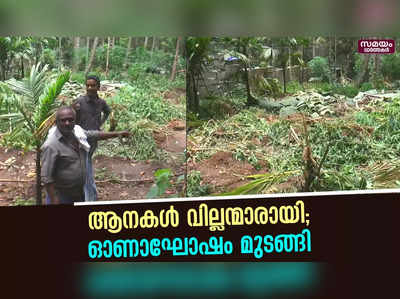 കാട്ടാനകളുടെ പരാക്രമത്തിൽ നെടുമങ്ങാട് താലൂക്