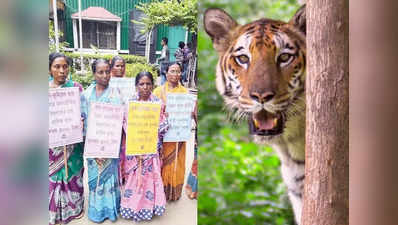 Sundarban Tiger widows: सुंदरबन की 4,000 टाइगर विडो... बाघ के हमले में पति को खोया, सरकारी मदद के लिए लंबा इंतजार