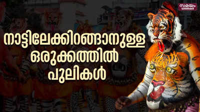 തൃശൂർ നഗരത്തെ ആവേശത്തിൽ ആറാടിക്കാൻ  ഇന്ന് പുലികൾ ഇറങ്ങും 