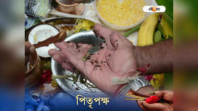 Pitru Paksha 2022: গাছ কাটলে, গোরুকে মারলে বাড়ে পিতৃদোষের সম্ভাবনা! জেনে নিন মুক্তির উপায়