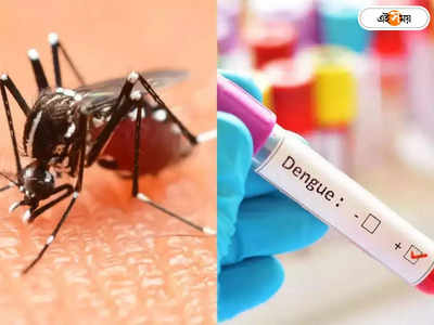 Kolkata Dengue Death: ফের কলকাতায় ডেঙ্গি আক্রান্তের মৃত্যু, পুজোর আগে উদ্বেগ বাড়াচ্ছে সংক্রমণ