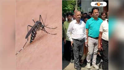Dengue Fever: ডেঙ্গি আক্রান্তদের বাড়িতে পৌঁছে দেওয়া হবে খাবার, বড় সিদ্ধান্ত পুরসভার
