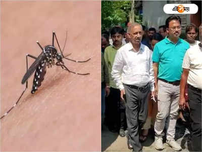 Dengue Fever: ডেঙ্গি আক্রান্তদের বাড়িতে পৌঁছে দেওয়া হবে খাবার, বড় সিদ্ধান্ত পুরসভার