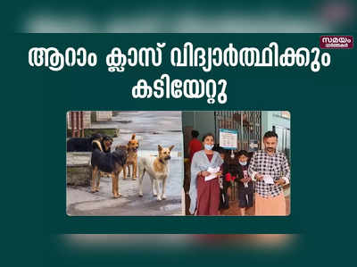 വീണ്ടും തെരുവ് നായ ആക്രമണം; വിലങ്ങാട് ആറാം ക്ലാസ് വിദ്യാർത്ഥിക്ക് കടിയേറ്റു