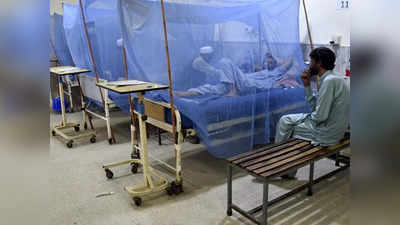 Pakistan News: पाकिस्तान में बाढ़ के बाद अब डेंगू का कहर, अस्पतालों में मरीजों के लिए बेड नहीं, दवाइयां भी खत्म