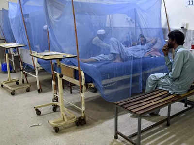 Pakistan News: पाकिस्तान में बाढ़ के बाद अब डेंगू का कहर, अस्पतालों में मरीजों के लिए बेड नहीं, दवाइयां भी खत्म