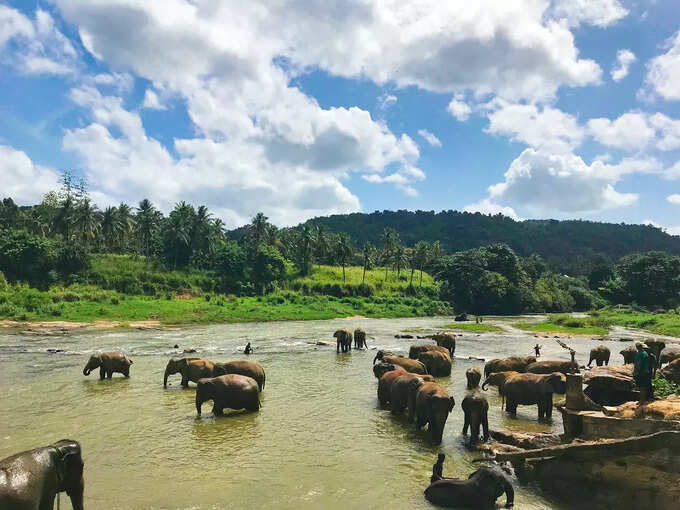 श्रीलंका - Sri Lanka