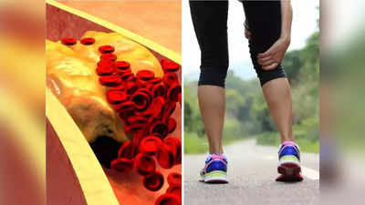 चालताना पायांवर ठेवा बारीक नजर, हे 1 लक्षण दिसलं तर समजून जा रक्ताच्या नसांत भरलंय घाणेरड भयंकर LDL कोलेस्ट्रॉल