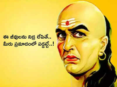 Chanakya Niti చాణక్యుని ప్రకారం, వీరి నిద్రకు భంగం కలిగిస్తే అంతే సంగతులు... మీకు తిప్పలు తప్పవు...!