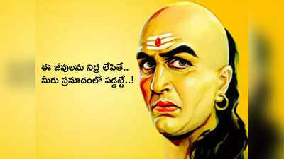 Chanakya Niti చాణక్యుని ప్రకారం, వీరి నిద్రకు భంగం కలిగిస్తే అంతే సంగతులు... మీకు తిప్పలు తప్పవు...!