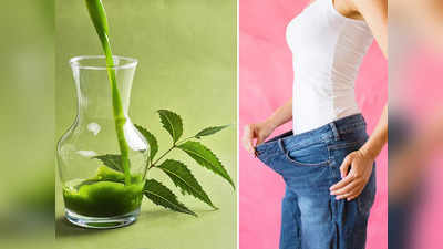 Neem Juice For Weight Loss: ওজন নিয়ে চিন্তা আর নয়, পুজোর আগে এই কৌশলে নিম খান; মেদ গলবে মোমের মতো!