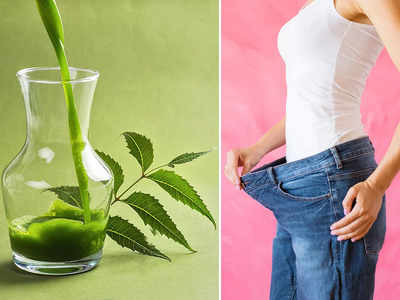 Neem Juice For Weight Loss: ওজন নিয়ে চিন্তা আর নয়, পুজোর আগে এই কৌশলে নিম খান; মেদ গলবে মোমের মতো!