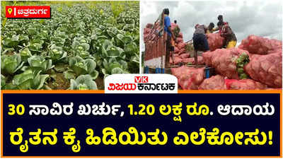 Cauliflower: 30 ಸಾವಿರ ರೂ. ಖರ್ಚು ಮಾಡಿ 1.20 ಲಕ್ಷ ರೂ. ಆದಾಯ ಗಳಿಸಿದ ರೈತ! ಚಿತ್ರದುರ್ಗದ ಬಹದ್ದೂರ್‌ ಘಟ್ಟದ ರೈತನ ಕೈಹಿಡಿದ ಎಲೆಕೋಸು