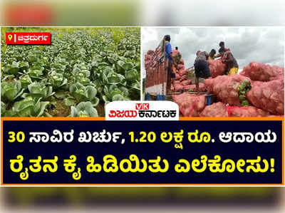 Cauliflower: 30 ಸಾವಿರ ರೂ. ಖರ್ಚು ಮಾಡಿ 1.20 ಲಕ್ಷ ರೂ. ಆದಾಯ ಗಳಿಸಿದ ರೈತ! ಚಿತ್ರದುರ್ಗದ ಬಹದ್ದೂರ್‌ ಘಟ್ಟದ ರೈತನ ಕೈಹಿಡಿದ ಎಲೆಕೋಸು