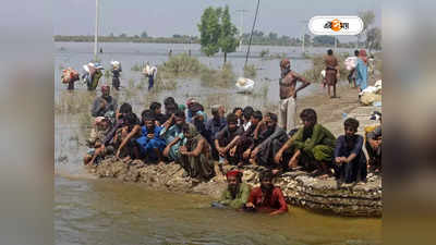 Pakistan Flood: মিলছে না খাবার, বন্যা দুর্গতদের রক্ষায় মন্দির খুলে দিল পাক হিন্দুরা