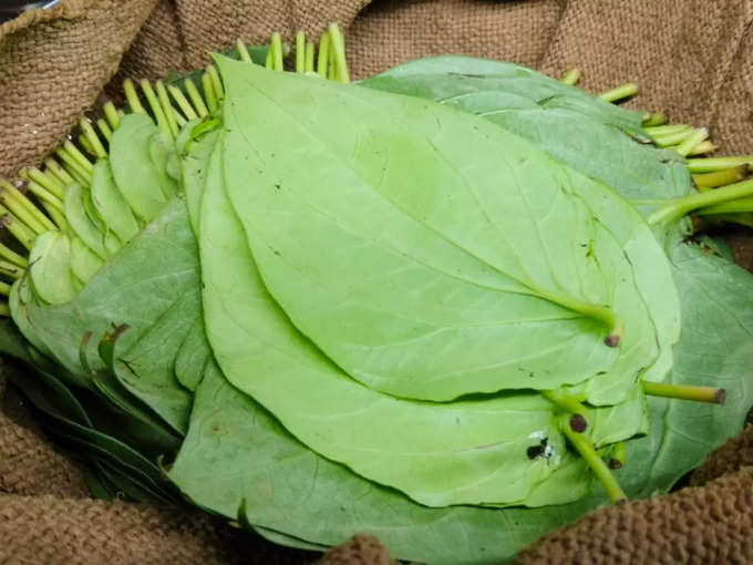 ಇದು ಆಂಟಿ ಫಂಗಲ್