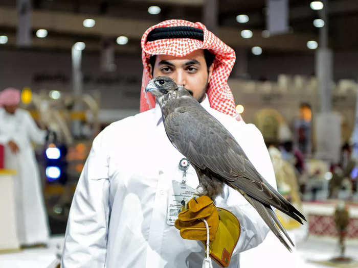 what is the history of falcon bird in middle east and is mentioned in the quran