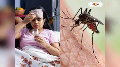 Dengue Fever: জ্বর এলে দুদিনের মধ্যেই রক্ত পরীক্ষা করান: স্বাস্থ্য দফতর
