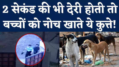 Dog Attack Viral Video: जब 2 बच्चों को काटने दौड़े 7 कुत्ते, CCTV में कैद घटना देख थम जाएंगी सांसें!