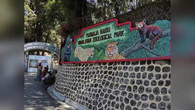 Darjeeling Zoo: সেরার শিরোপা পাচ্ছে দার্জিলিং চিড়িয়াখানা, ঝাড়গ্রাম জুলজিক্যাল পার্কও দেশে চতুর্থ স্থানে