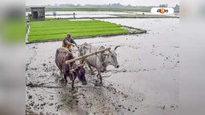 Agriculture Infrastructure: কৃষির পরিকাঠামোগত উন্নয়নে একগুচ্ছ পদক্ষেপ রাজ্যের, মিলবে ২ কোটি পর্যন্ত ঋণ