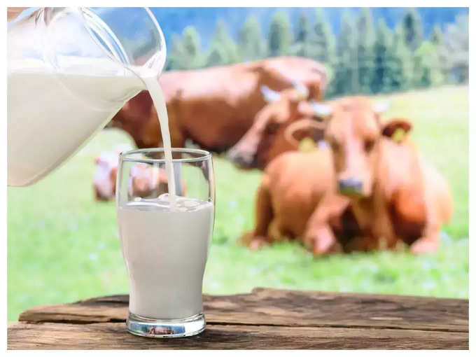 गाय का दूध