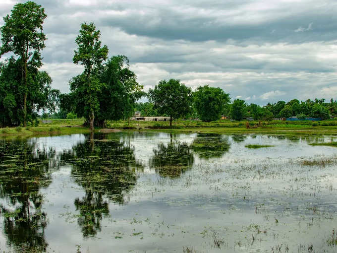 ಡೋರ್ಸ್