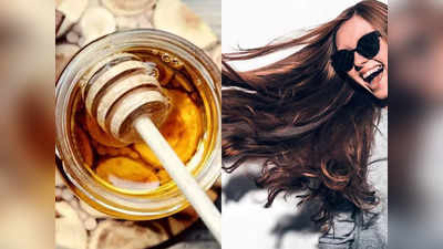 Honey Hair Mask: മുടികൊഴിച്ചില്‍ അകറ്റി മുടി ഉള്ളോടെ വളരാന്‍ തേന്‍ ഇങ്ങനെ ഉപയോഗിക്കൂ!