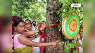 Paschim Medinipur News: সন্তানের মতো করে জঙ্গল আগলে রাখছেন শালবনির সিরষি গ্রামের প্রমিলা বাহিনী
